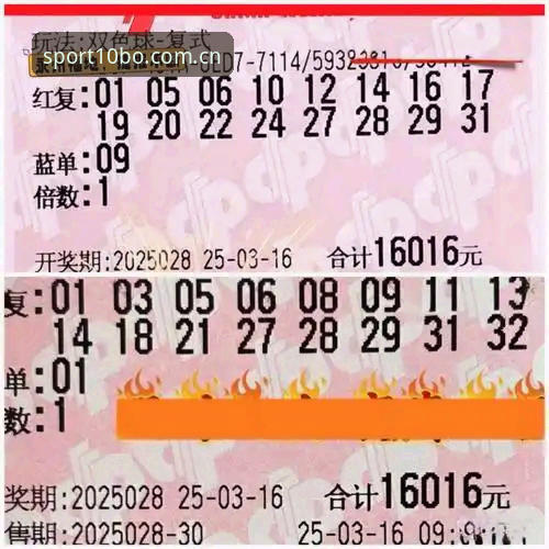 资深用户分享十博体育投注平台iOS版实战经验：从下载到实时投注的全流程解析